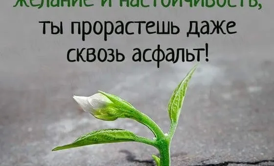 11 виправдань, які заважають вам досягати цілей