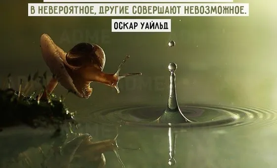 17 надихаючих цитат для розвитку кар'єри