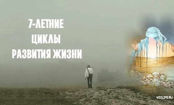 7-річні цикли розвитку життя
