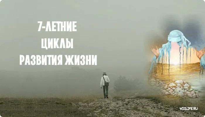 7-річні цикли розвитку життя