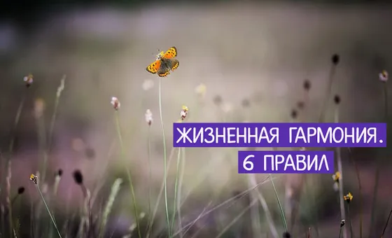 Життєва гармонія. 6 правил